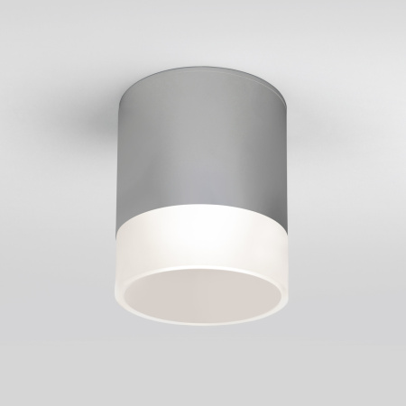 Потолочный светильник уличный светодиодный Light LED 35140/H