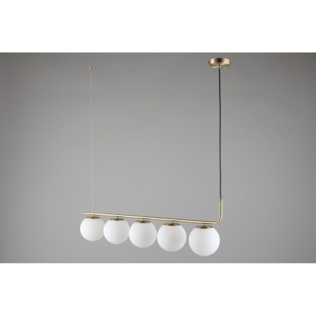 картинка Подвесной светильник светодиодный Avetrana OML-66613-05 от магазина BTSvet