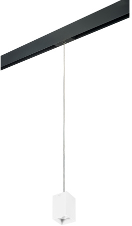 Трековый светильник однофазный 220V Lightstar Rullo PRORP336