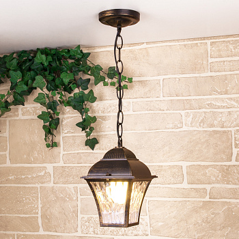 Уличный подвесной светильник Apus GL 1009H