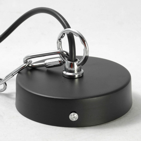 картинка Подвесной светильник LSP-8029 от магазина BTSvet