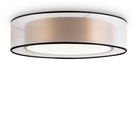 Потолочный светильник светодиодный Zoticus FR6005CL-L36G