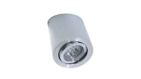 картинка Накладной светильник Alesti  LDC 8060-D JP-D80*H130 SL от магазина BTSvet