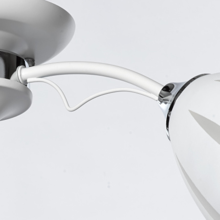 картинка Потолочная люстра Нежность 676014505 от магазина BTSvet