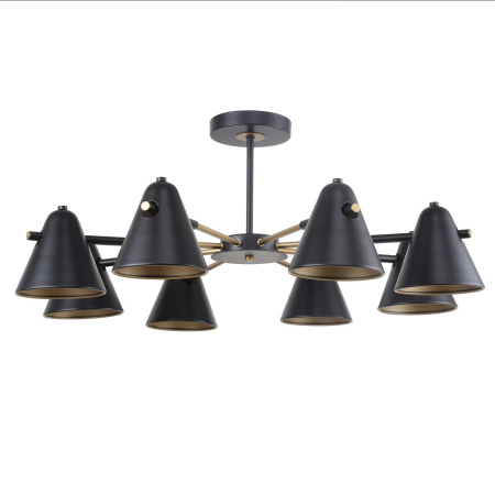 картинка Потолочная люстра Rigor 2844-8P от магазина BTSvet