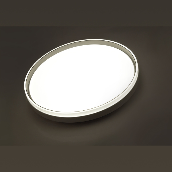 картинка Настенно-потолочный светильник Savi 7631/DL от магазина BTSvet
