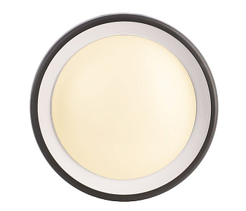 Настенный уличный светильник Deko-Light Canis 731043