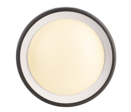 Настенный уличный светильник Deko-Light Canis 731043