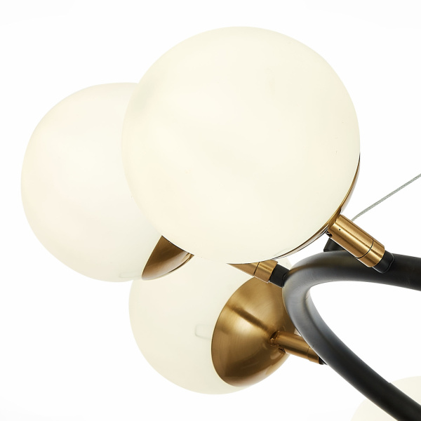 картинка Подвесная люстра Forli SLE220403-10 от магазина BTSvet