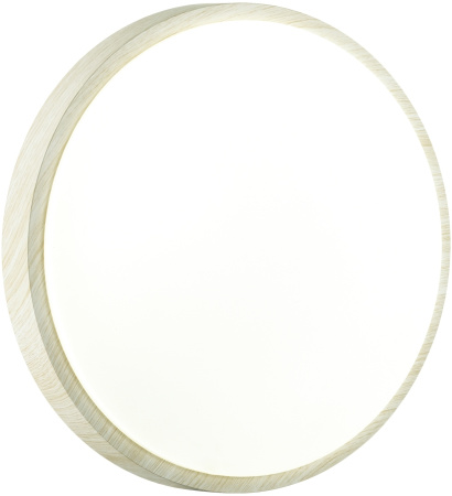 картинка Настенно-потолочный светильник Losta 7628/AL от магазина BTSvet