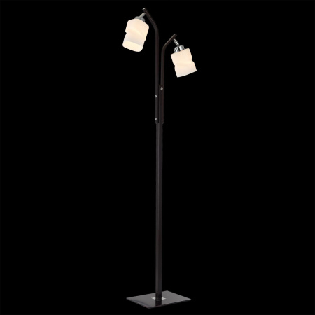 картинка Торшер с выключателем Берта CL126922 от магазина BTSvet