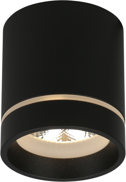 Накладной светильник светодиодный Gita APL.0043.19.05