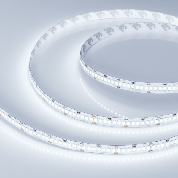 картинка Светодиодная лента RT 2-5000 24V Cool 8K 10mm (2835, 252 LED/m, LUX) (Arlight, 10 Вт/м, IP20) 022654 от магазина BTSvet