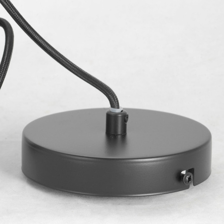 картинка Подвесной светильник Strawberry LSP-8211 от магазина BTSvet