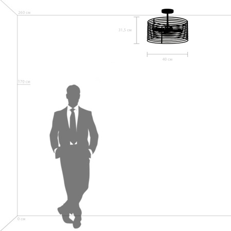 картинка Потолочная люстра Zeta 728043 от магазина BTSvet