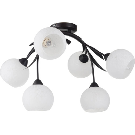 Потолочная люстра Bagheria GRLSF-6283-06