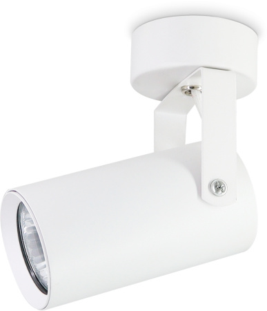 картинка Спот TECHNO SPOT TA1302 от магазина BTSvet