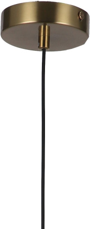 картинка Подвесной светильник Roshni 3050-1P от магазина BTSvet