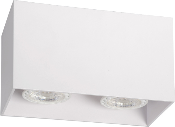 картинка Точечный накладной светильник Bodi 09101/02/31 от магазина BTSvet