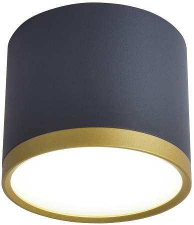 Накладной светильник Baral 3081-2C