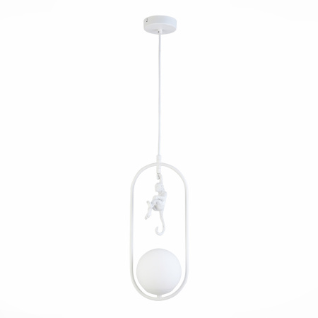 картинка Подвесной светильник Tenato SLE115123-01 от магазина BTSvet