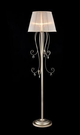 картинка Торшер Simone FR2020-FL-01-BG от магазина BTSvet