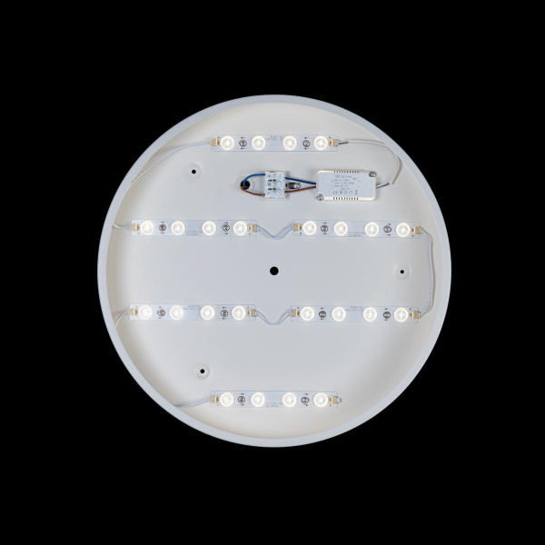 картинка Потолочный светильник светодиодный Axel 10002/24 White от магазина BTSvet
