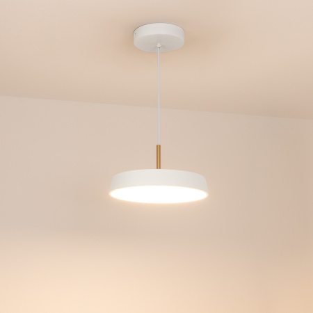 картинка Подвесной светильник LED SP-ELEGANT-R300-17W Warm3000 (WH, 120 deg, 230V) (Arlight, IP20 Металл, 3 года) 033914 от магазина BTSvet