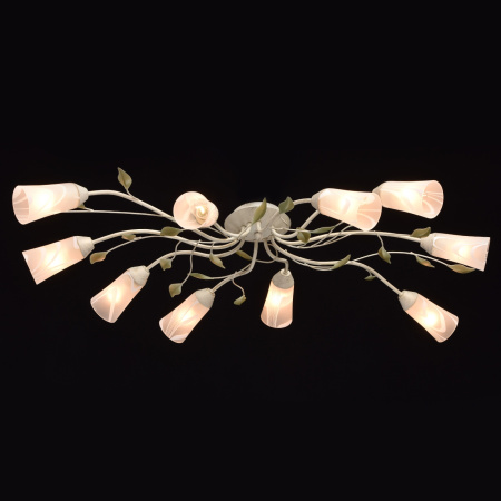 картинка Потолочная люстра Vostorg 242015510 от магазина BTSvet