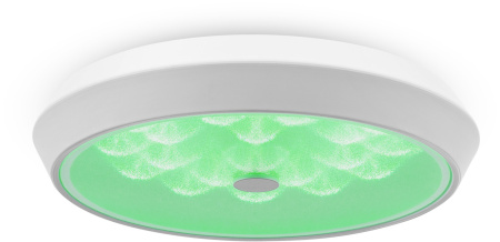 картинка Потолочный светильник светодиодный диммируемый с пультом регулировкой цветовой температуры и яркости Cells FR10012CL-L24W RGB от магазина BTSvet