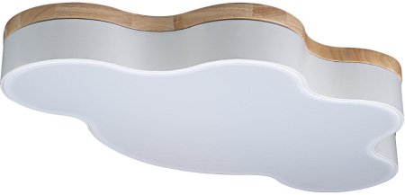 картинка Потолочный светильник светодиодный для детской Axel 10005/36 White от магазина BTSvet