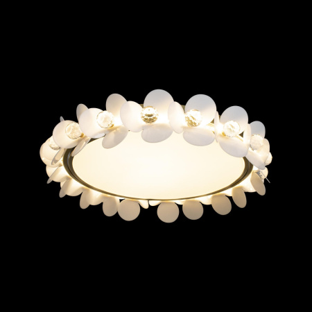 картинка Потолочный светильник Bride 10175 от магазина BTSvet