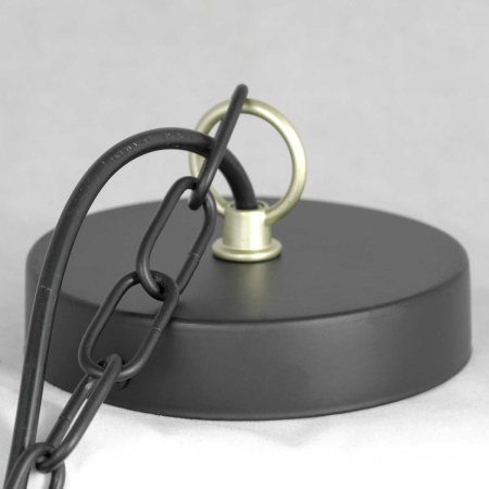 картинка Подвесная люстра Roosevelt LSP-8198 от магазина BTSvet