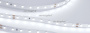 картинка Светодиодная лента RT 2-5000-50m 24V White6000 (2835, 80 LED/m, LUX) (6 Вт/м, IP20) 024521(1) от магазина BTSvet