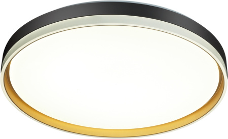 картинка Настенно-потолочный светильник Savi 7619/DL от магазина BTSvet