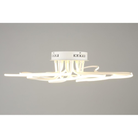 картинка Потолочная люстра светодиодная OML-04307-160 от магазина BTSvet