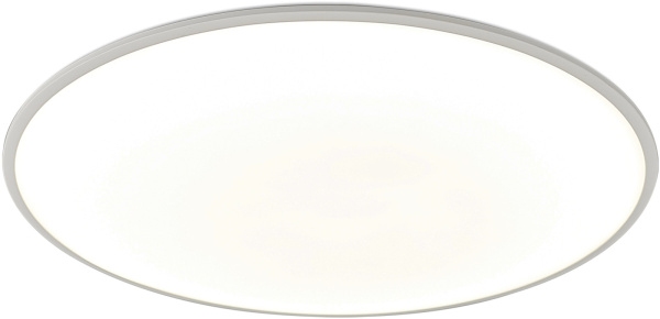 Потолочный светильник Slim 7973