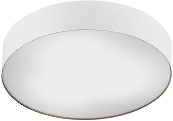 Потолочный светильник Nowodvorski Arena 10184