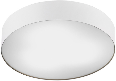 Потолочный светильник Nowodvorski Arena 10184