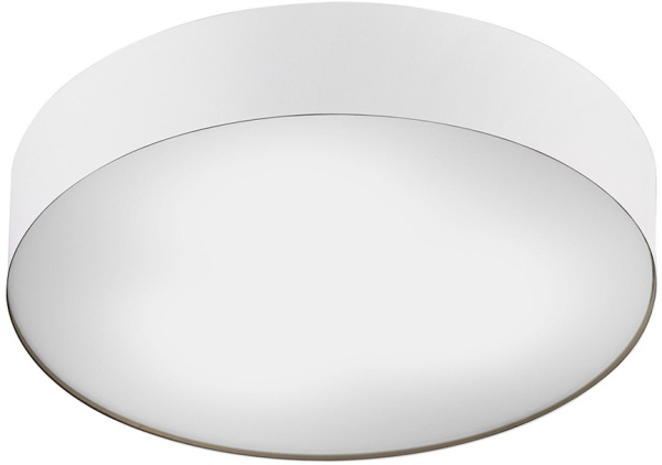 Потолочный светильник Nowodvorski Arena 10184