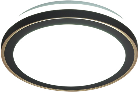 картинка Настенно-потолочный светильник Akuna 7620/DL от магазина BTSvet