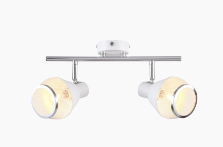 картинка Спот Dynamic 1117/2A от магазина BTSvet