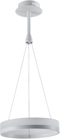 Подвесной светильник светодиодный V1760-PL Crime LED*26W