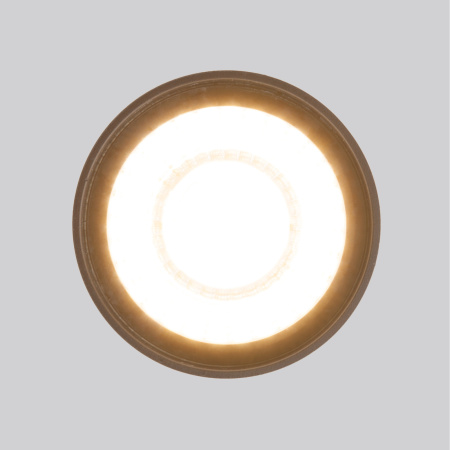 картинка Потолочный светильник уличный светодиодный Light LED 35132/H IP54 от магазина BTSvet