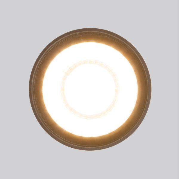 картинка Потолочный светильник уличный светодиодный Light LED 35132/H IP54 от магазина BTSvet