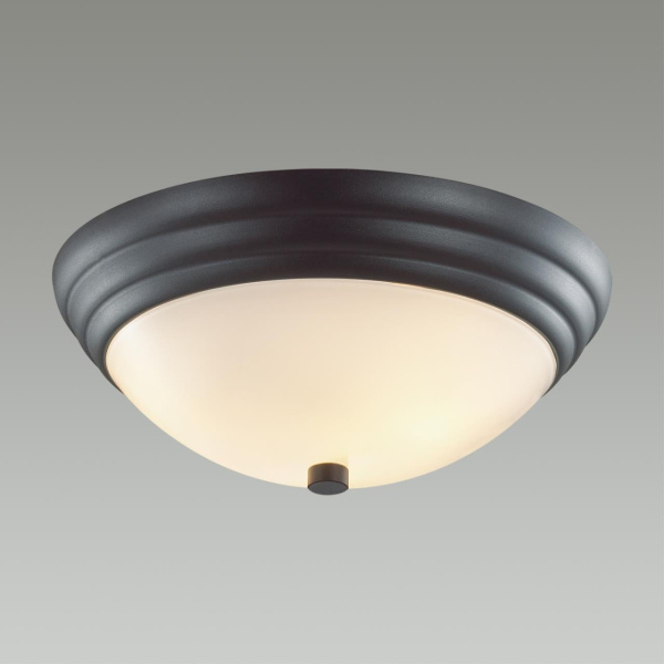 картинка Настенно-потолочный светильник Kayla 5263/2C черный E27 2*60W от магазина BTSvet