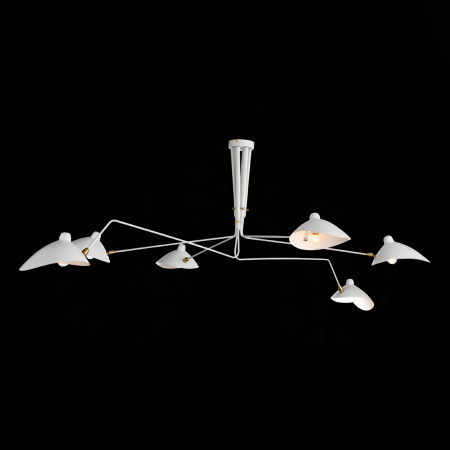 картинка Потолочная люстра Spruzzo SL305.502.06 от магазина BTSvet