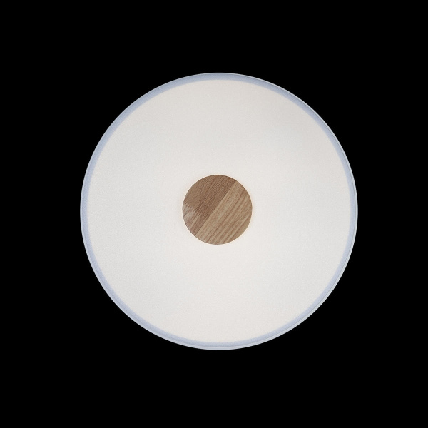 картинка Потолочный светильник светодиодный Axel 10003/24 White от магазина BTSvet
