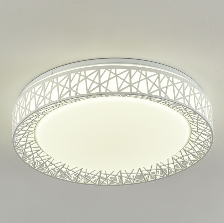 картинка Потолочный светильник Creatura 2314-5C от магазина BTSvet