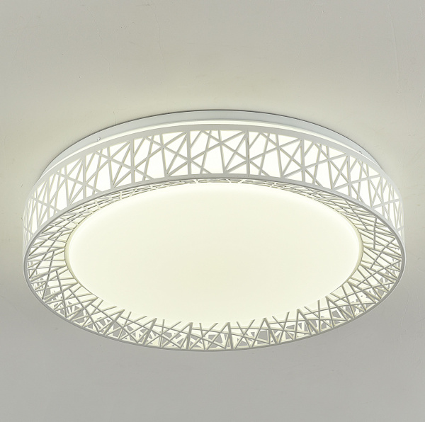 картинка Потолочный светильник Creatura 2314-5C от магазина BTSvet